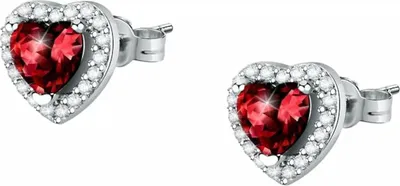 Image de Boucles d'oreilles Femme Morellato SAIW135 Argent