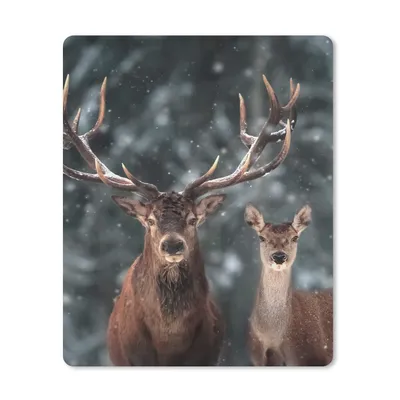 Produktbild von MuchoWow® Mauspad Mousepad Hirsche - Tiere - Winter - Geweih - Schnee - Natur 30x40 cm - Mousepads - Maus Mat - Pad - Mausunterlage - Mausmatten