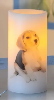 Produktbild von Dekorative LED-Kerzen im 2er-Set mit Welpenmotiv,  Beagle, flammenlos, batteriebetrieben.