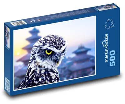 Obrázok produktu pre martinpuzzle – Puzzle 500 – Vták – sova