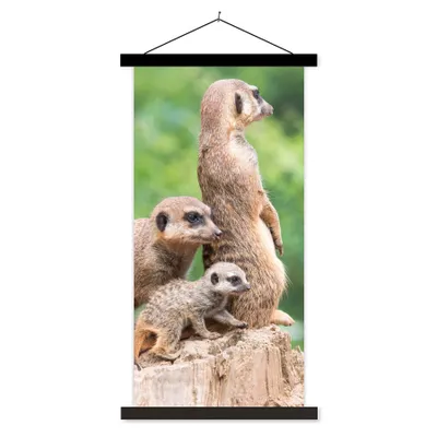 Produktbild von MuchoWow® Textilposter Erdmännchen - Baumstumpf - Jungtier 60x120 cm mit schwarzem Rahmen - Magnete