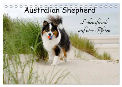 Produktbild von Australian Shepherd - Lebensfreude auf vier Pfoten (Tischkalender 2027 DIN A5 quer), CALVENDO Monatskalender