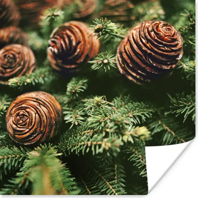 Produktbild von MuchoWow® Poster Eine Nahaufnahme von Tannenzapfen am Weihnachtsbaum 50x50 cm - Wohnzimmerdekoration