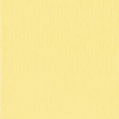 Produktbild von HNFD Passepartout, Format A2 (42 x 59,4 cm), für Bilder im Format 30 x 45 cm, Farbe: gelb