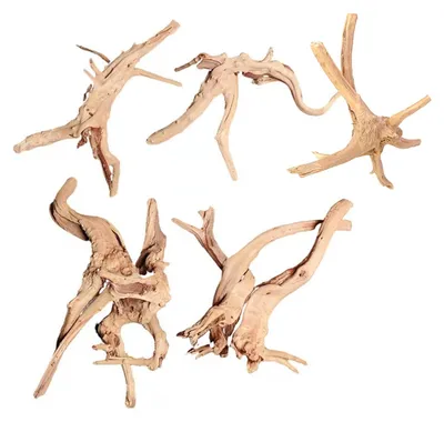 Produktbild von Natürliche Treibholzäste – Dekoration für Terrarium und Aquarium – Set mit 5 Stück