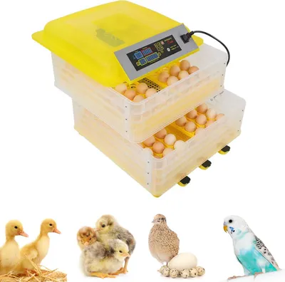 Produktbild von Inkubator,Vollautomatische Brutmaschine für Zuhause 96 Eier, mit doppelter Stromversorgung Temperatur und Feuchtigkeitsregelung