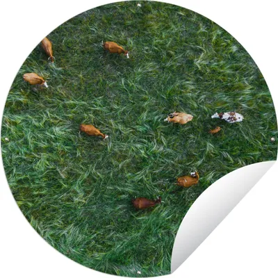 Produktbild von MuchoWow®