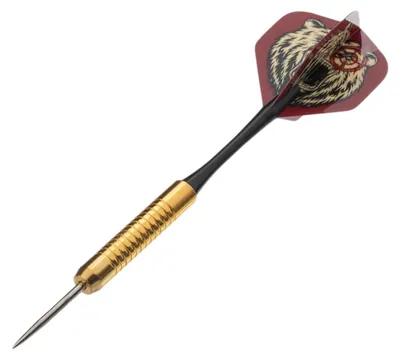 Image de Fléchettes DIRON pour les joueurs de tous niveaux