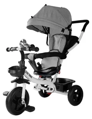 Zdjęcie produktu dla Rower Trójkołowy PRO300 Szary