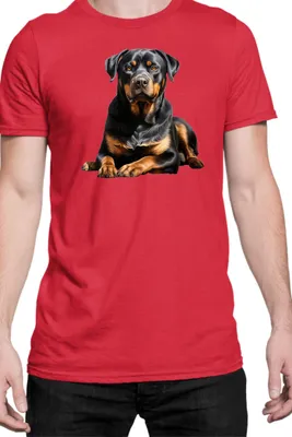 Zdjęcie produktu dla Męska Koszulka Dogs Breeds Rottweiler Dog Breed 006, Man M / Czerwony