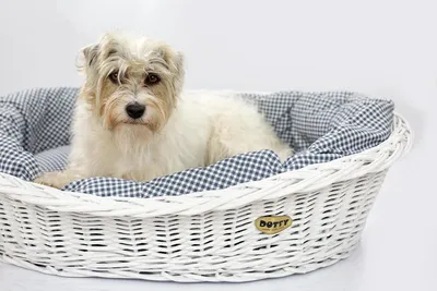 Produktbild von Weiß gebleichter Weidenkorb für Hunde Wikikorb mit Baumwoll-Hundebett – Marineblau mit Karo – DOTTY