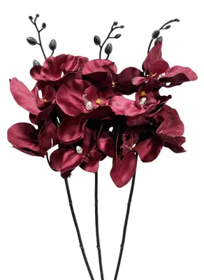 3 Kunstblumen Phalaenopsis Orchidee, Seide, 45 cm, Rot