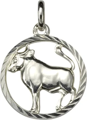 Produktbild von F Anhänger 925/- Sterling Silber 2,1cm weiß 371240541ST