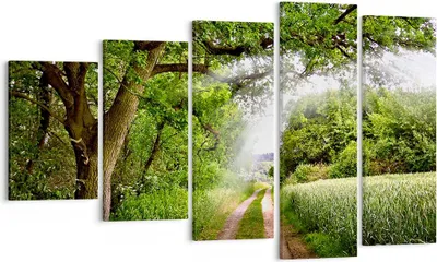 Produktbild von Bild auf Leinwand - Leinwandbild - Pfad Natur Wald Grün - 100x60cm - Wand Bild - Wanddeko - Leinwanddruck - Bilder - Kunstdruck - Wanddekoration - Leinwand bilder - Wandkunst - EG100x60-2637