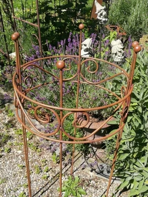 A metal plant stand in a garden setting with lavender and other plants in the background.