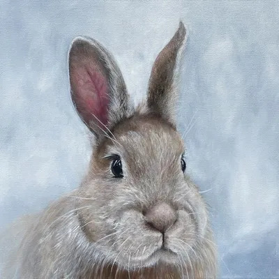Produktbild von RP 20 Servietten Niblet the Bunny - Aufmerksamer Hase 33x33cm