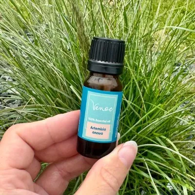 Produktbild von Ätherisches Öl aus Einjährigem Beifuß Venoc 10 ml