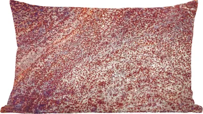 Produktbild von MuchoWow® Zierkissen Sofakissen Wohnzimmer Dekokissen 60x40 cm Rust - Muster - Abstrakt - Kopfkissen - Polster mit Foto