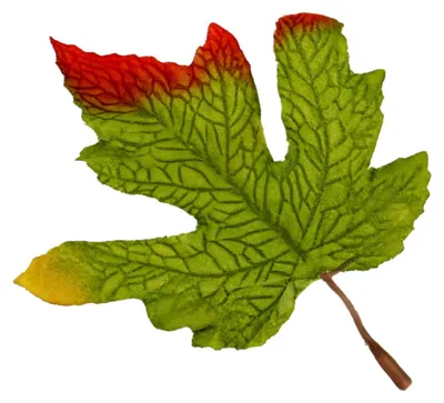 30 künstliche Herbst-Ahornblätter, 10 cm, Dekoration, Grün
