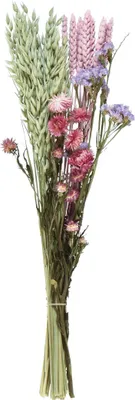 Produktbild von Eleganter Trockenblumenstrauß für Dekoration und Bastelideen