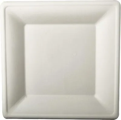 Produktbild von PAPSTAR Zuckerrohr-Teller "pure" eckig 260 x 260 mm 12 Stück