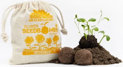 Produktbild von Sonnenblumen Samenbomben & Seedbombs, Saatbomben