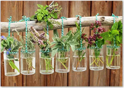 Produktbild von Tulup® Glas-Bild - 100 x 70 - Wandbild aus Glas - Wandkunst - Wandbild hinter gehärtetem Sicherheitsglas - Blumen & Pflanzen - Kräuter in Gläsern - Grün