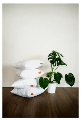 Produktbild von Kissen 40x40 cm, Sofakissen, Kissenfüllung, Zierkissen für Allergiker, Dekokissen, waschbar bis 60 Grad, EU, Komfort 100