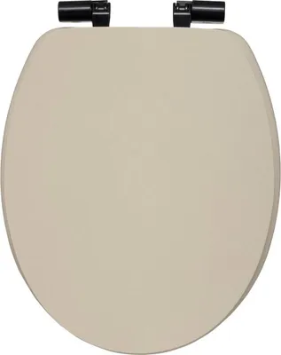 A toilet seat on a white background.