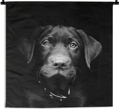 Produktbild von MuchoWow® Wandteppich Wandbehang Hund - Leicht - Schwarz 90x90 cm Tapisserie Dekoration Wandtuch - Wandaufhänger