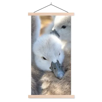 Produktbild von MuchoWow® Textilposter Schwäne - Licht - Küken 60x120 cm mit holzfarbenen Rahmen - Holz