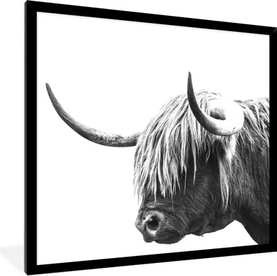 Produktbild von MuchoWow® Gerahmtes Poster Schottischer Highlander - Horn - Schwarz - Weiß 40x40 cm - Poster mit Schwarzem Bilderrahmen Wandposter Rahmen Foto Bilder - Mit Rahmen - Wanddekoration Schlafzimmer