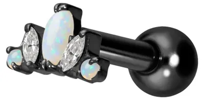 Produktbild von Ohrpiercing Titan Ohrpiercing mit Innengewinde LOTUSBLÜTE Schwarz Stablänge: 6mm