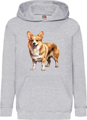 Obrázok produktu pre Detská Mikina S Kapucňou Dogs Breeds Pembroke Welsh Corgi Dog Breed 005, 7-8 Jahr - 128 / Heather šedá