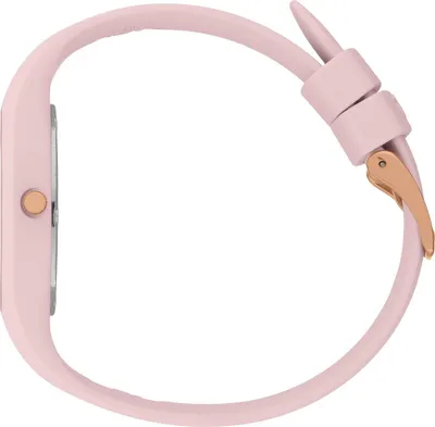 Image de Montres ICE 021592