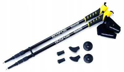 Produktbild von Nordic Walking Stöcke Evolution Bosfor Mit Antishock-System 3-Segmentig