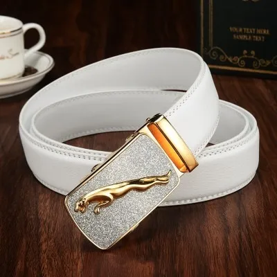 Produktbild von Gürtel CH-4036 - Weiß/Golden für Herren KP4036