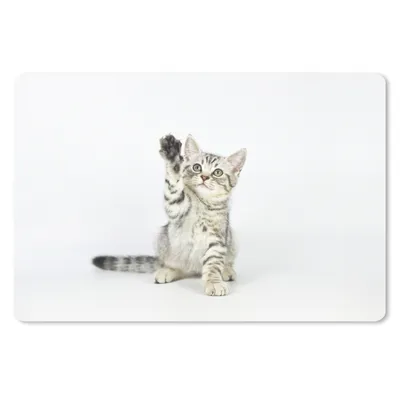 Produktbild von MuchoWow® Mauspad Mousepad Kätzchen - Pfote - Weiß - Mädchen - Kinder - Jungen - Kind 27x18 cm - Mousepads - Maus Mat - Pad - Mausunterlage - Büroartikel - Desk Matten