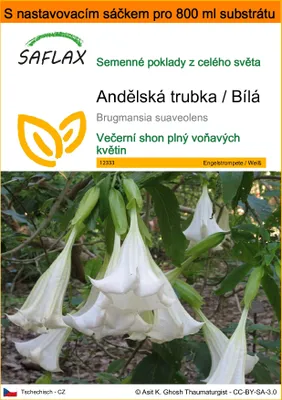 Obrázek produktu pro SAFLAX Garden in the bag - Andělská trubka / Bílá - Brugmansia suaveolens - 10 Semena - S pěstebním substrátem v praktickém samovztyčovacím sáčku