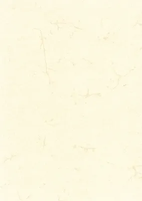 Produktbild von RNK Verlag 2863 Dokumentenpapier (Elefantenhautpapier), 110g/qm, weiß, DIN A4