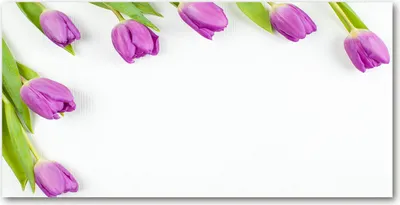 Produktbild von Tulup® Glas-Bild - 100x50 -Wandkunst - Wandbild hinter gehärtetem Sicherheitsglas  - Blumen & Pflanzen - Lila Tulpen - Lila