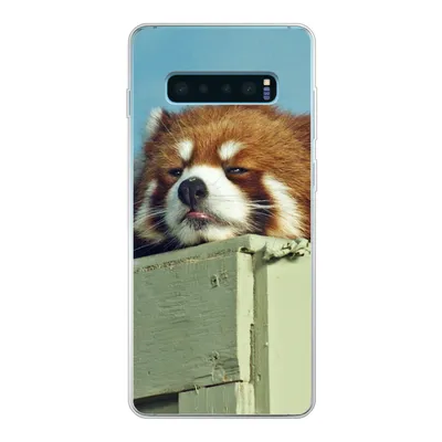 Produktbild von MuchoWow® Handyhülle Schutzhülle Hülle für Samsung Galaxy S10 Plus Panda - Holz - Rot Silikon Softcase Handy Hülle - Schutzhülle