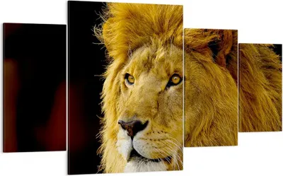Produktbild von Bild auf Leinwand - Leinwandbild - Löwe Tiere Tierwelt - 160x90cm - Wand Bild - Wanddeko - Leinwanddruck - Bilder - Kunstdruck - Wanddekoration - Leinwand bilder - Wandkunst - DL160x90-1237