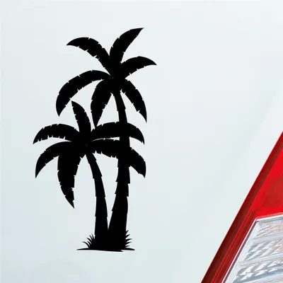 Produktbild von Auto Aufkleber Palme Palms Beach Strand Kokospalme Pflanze 5x10 cm Schwarz Matt Sticker Heckscheibenaufkleber