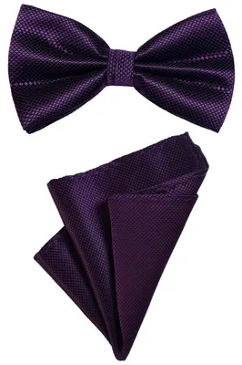 Produktbild von DonDon 2er Set Herren Fliege und Einstecktuch farblich passend gebunden und größenverstellbar aubergine