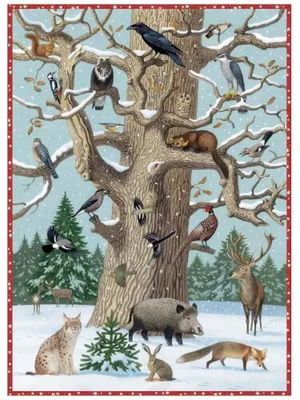 Produktbild von Tiere im Winter