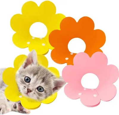 Produktbild von Azomor® Weiche und Verstellbare Schutzkragen für Katzen und Kleine Hunde