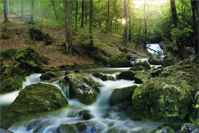Produktbild von Wallario Premium Vliestapete Fototapete Fließender Bach im Wald bei Sonnenuntergang in der Größe 400 x 267 cm, extra dick, wird in 5 Teilen geliefert