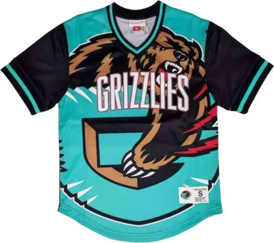 Produktbild von Trikot Mitchell & Ness TMPL5118-VGRYYPPPMTWH für Herren