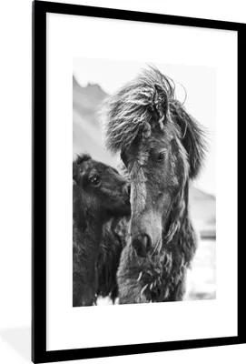 Produktbild von MuchoWow® Gerahmtes Poster Pferde - Fohlen - Fell 60x90 cm - Poster mit Schwarzem Bilderrahmen Wandposter Rahmen Foto Bilder - Dekoration - Wandposter Wohnzimmer - Hochwertig